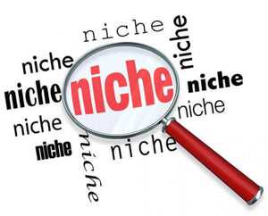 Niche Marketing: Beginner's Niche Blueprint