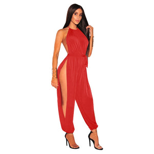 Luxury Cut out Full body suit